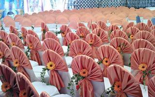Székek esküvőre - eredeti lehetőségek az ülések díszítésére és kiválasztására (72 fotó)